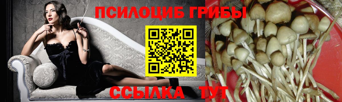 Галлюциногенные грибы MAGIC MUSHROOMS  Галлюциногенные грибы Cubensis  Вход с VPN  Качканар 