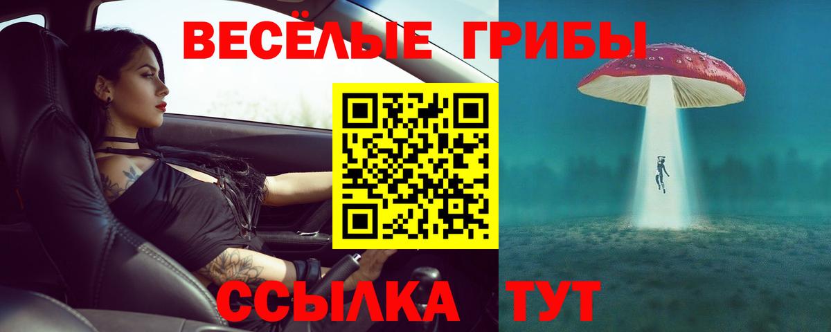 Галлюциногенные грибы GOLDEN TEACHER Качканар