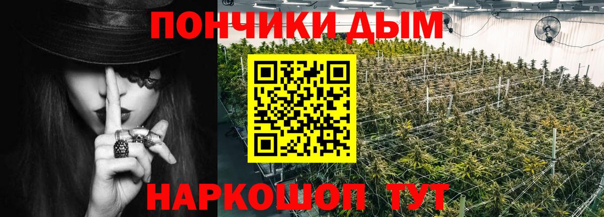 Канабис гибрид Качканар